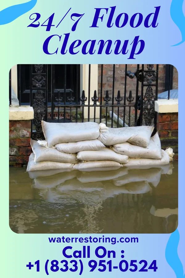 24/7 Flood Cleanup in La Harpe, IL