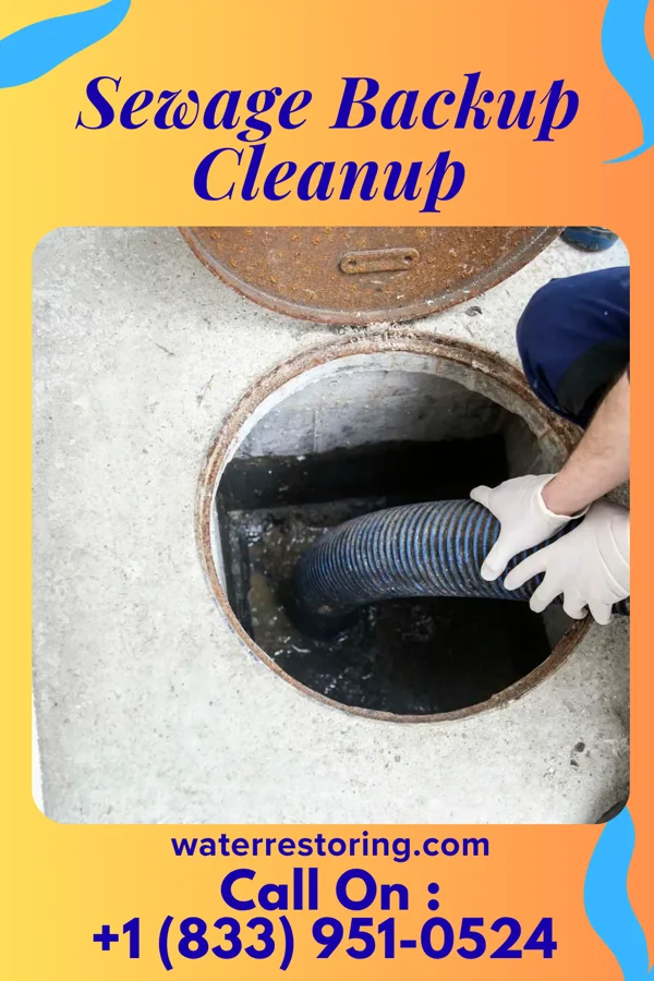 Sewage Backup Cleanup in La Harpe, IL