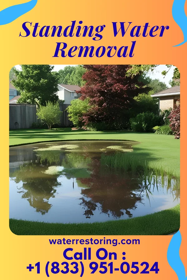 Standing Water Removal in La Harpe, IL